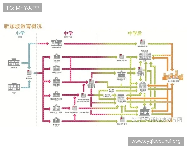 体育单招网官网提供详细的专业设置与招生计划信息助力考生科学规划升学路径
